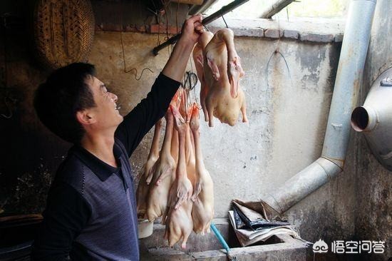 舌尖上的新年2016