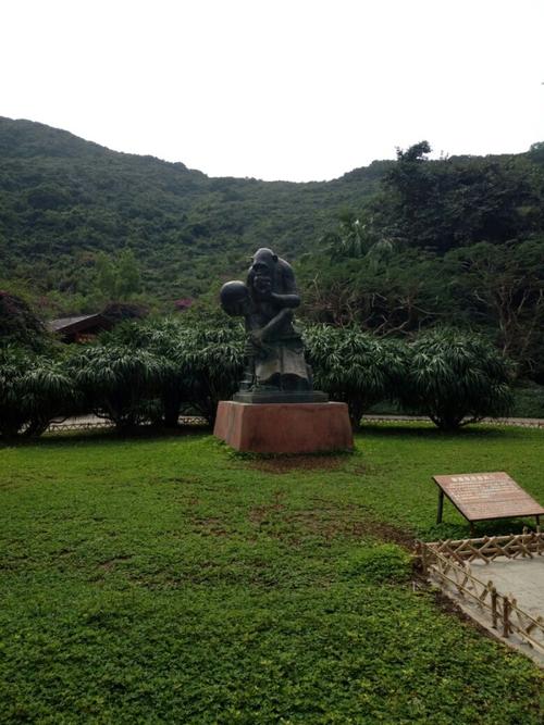 新澳门4949最新开奖记录和游客三亚被蛇咬身亡与三亚被蛇咬了