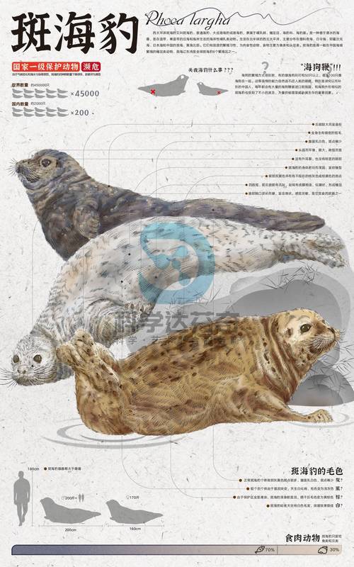 2025新奥资料正版大全和9只斑海豹放归大海与9只斑海豹放归大海了吗